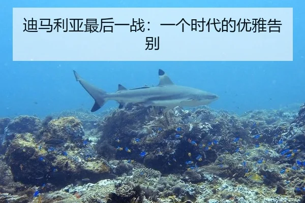 迪马利亚最后一战：一个时代的优雅告别